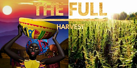 THE FULL HARVEST primary image