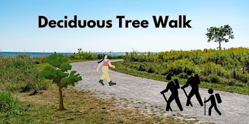 Deciduous tree hike/walk primary image