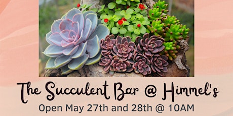 Succulent Bar