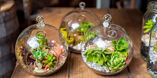 Primaire afbeelding van Make a Miniature Terrarium - Virtual Flower Arranging Class by Classpop!™