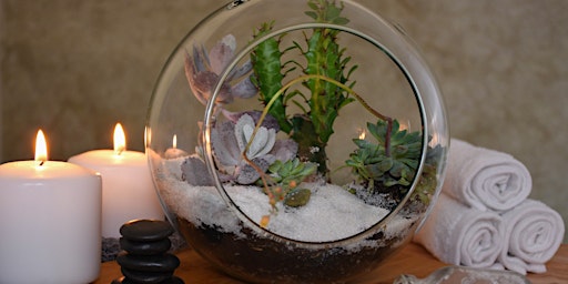 Make a Charming Terrarium - Virtual Flower Arranging Class by Classpop!™ primary image