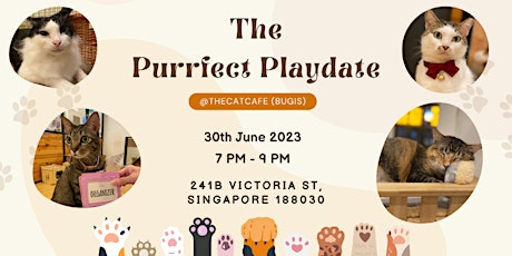 The Purrfect Playdate (Calling for Ladies)