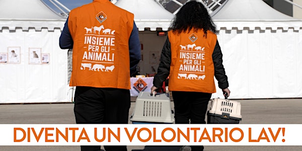 Incontro per volontari LAV in Sicilia - 10 novembre 2018