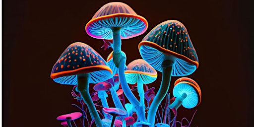 The History of Psychedelics in Ireland primary image