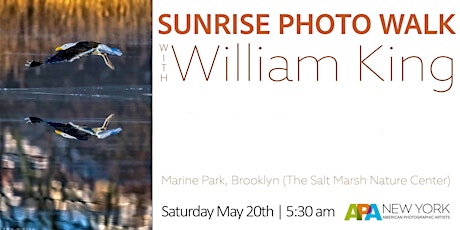 Sunrise Photo Walk to Marine Park: POSTPONED due to inclement weather primary image