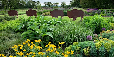 Imagen principal de Enjoy this Sussex Prairie Gardens in the heart of Sussex & meet the owners