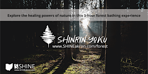 Shinrin Yoku (aka Forest Bathing) Workshop