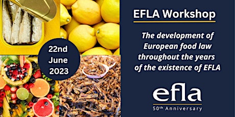 Hauptbild für EFLA Workshop 2023