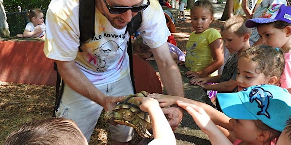Summer Wild Adventure Program: Armadillos to Zebras Grades K-2 Session 1