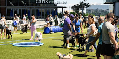 Tysons Corner Paws on the Plaza Pet Festival: Beer Garden, Pup Splash Pads