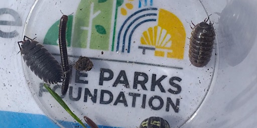 Bug Hunt at Alexandra Park primary image