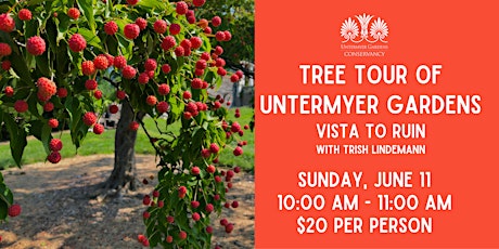 Tree Tour of Untermyer Gardens: Vista to Ruin