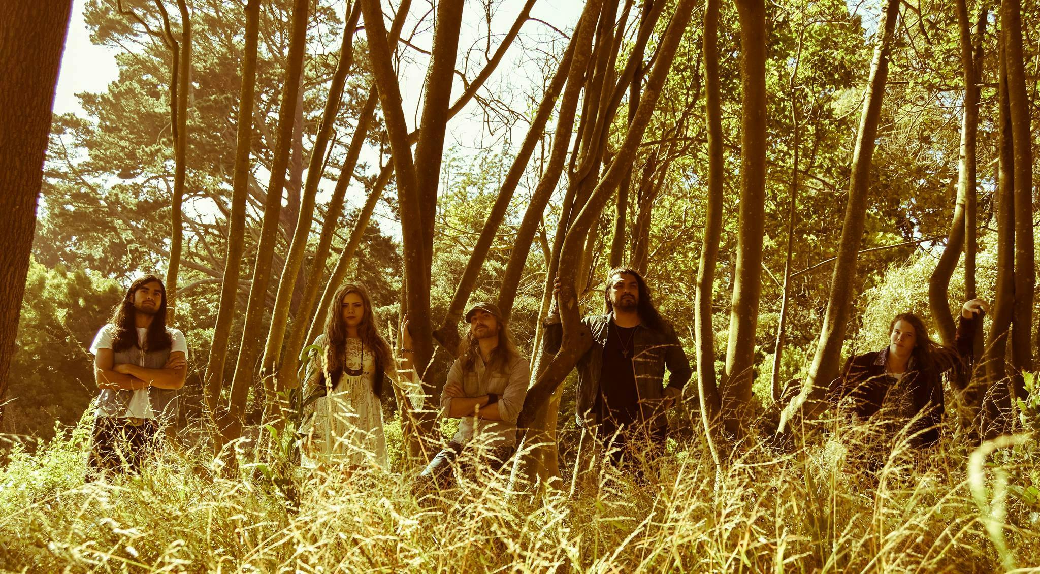 Dead Feathers / Diagonal / Daisychain