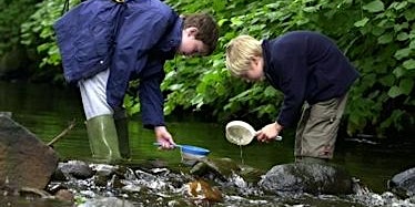 Extreme River Dipping for 8 to 12 year olds primary image