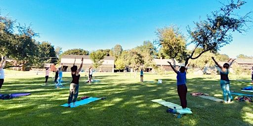 Hauptbild für Mindful Yoga