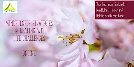 Mindfulness Strategies - Online - For dealing with life challenges