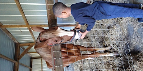 Homeschool Day @ Sanford's Horse Ranch