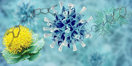 Imagem principal de Herbal Management for Acute Viral Infections - Fall 2024