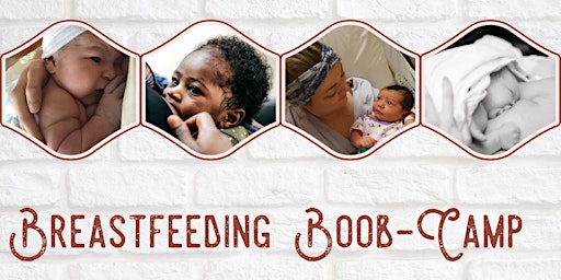 Imagem principal de Breastfeeding Boob-Camp