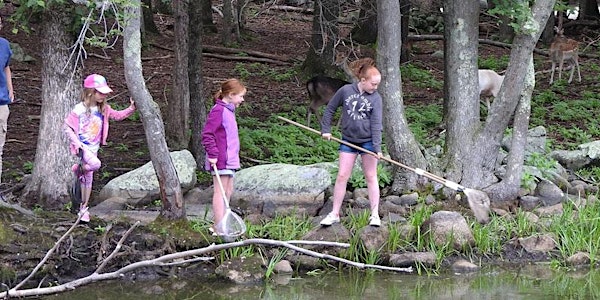 Summer Wild Adventure Program: Animal Antics Grades 2 & 3 Session 1