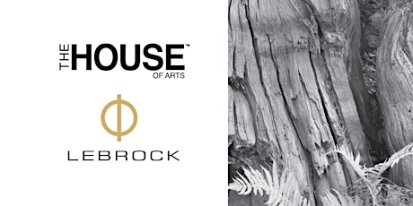 The House of Arts & Lebrock Studio | Exhibition & Talk with Designer