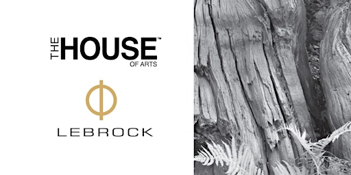 Imagen principal de The House of Arts & Lebrock Studio | Exhibition & Talk with Designer