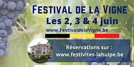 Primaire afbeelding van "Festival de la vigne" 100% belge à La Hulpe