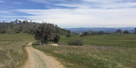 2019 Rumble in the Ranchlands - Mariposa, CA primary image