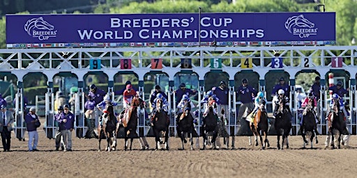 2023 Breeders Cup - 2 Day Pass Tickets primary image