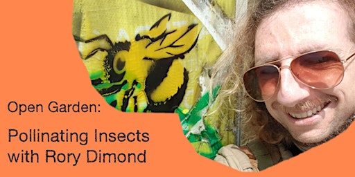 Open Garden Talk Series:  Pollinating Insects with Rory Dimond