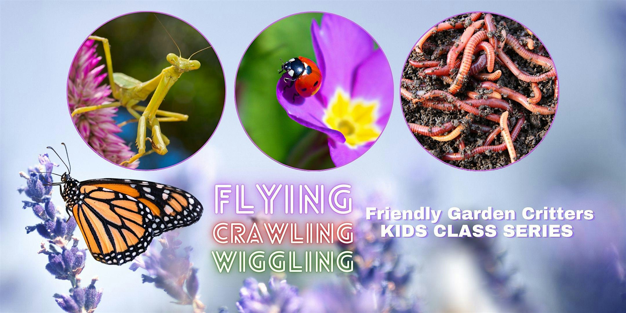 Kids'Class - Flying, Crawling, and Wiggly Bugs: Friendly Garden Critters