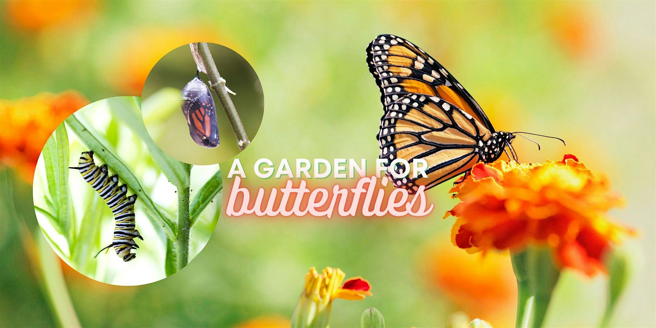 Pretty Pollinator Paradise – DIY Butterfly Garden