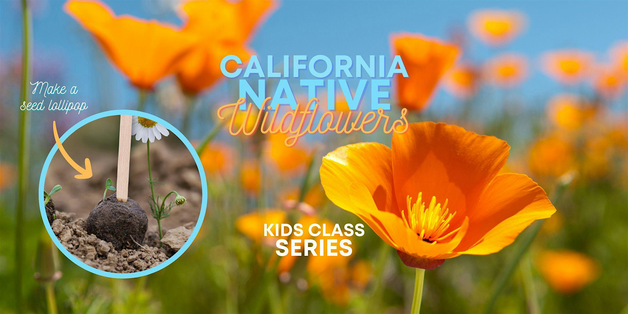 Kid's Class - California Native Wildflowers & Wildflower Seed Lollipop M&T