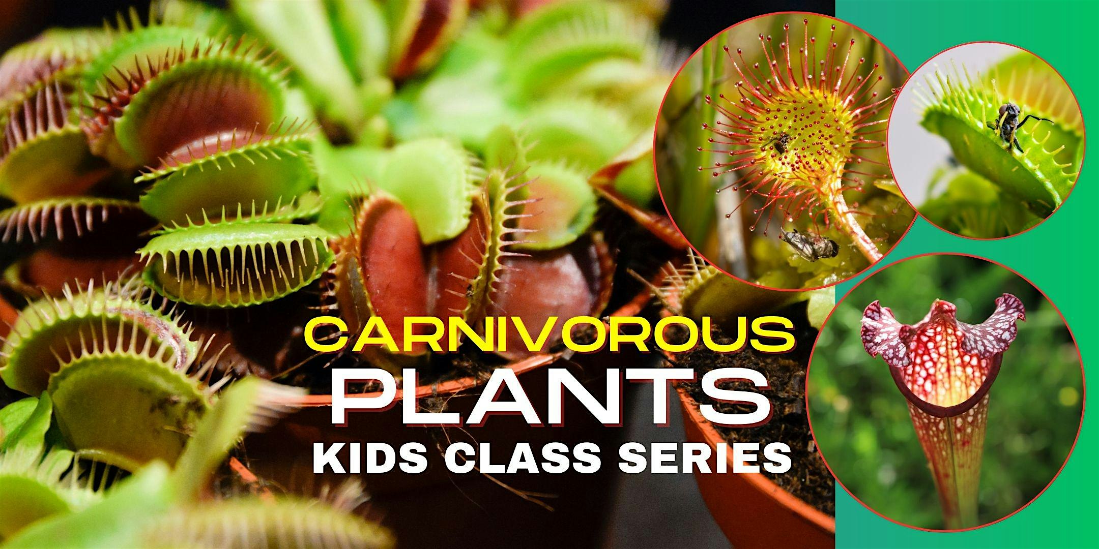 Kids Class - The Captivating World of Carnivorous Plants