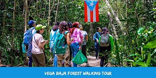 Imagem principal de Vega Baja Forest Walking Tour