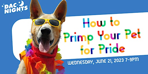 DAC Nights Pride: How to Primp Your Pet for Pride