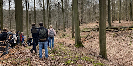 Primaire afbeelding van Caché dans la forêt : le site néolithique de Boitsfort-Étangs