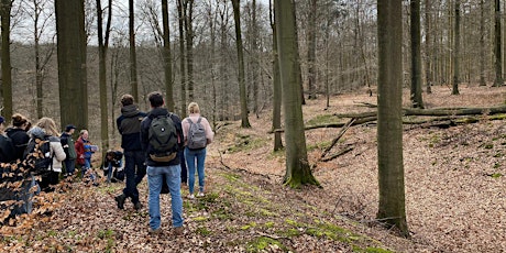 Verscholen in het bos: de steentijdsite van Bosvoorde-Vijvers