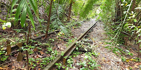Clementi Forest Walking Trail