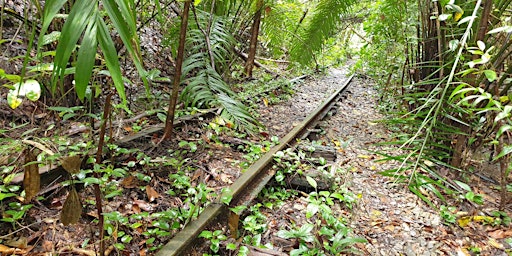 Clementi Forest Walking Trail primary image
