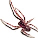 Organizer profile image