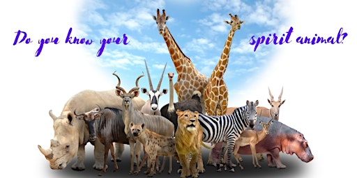 Imagem principal de What is a Spirit/Power Animal? Do You Know Yours? Join Me!