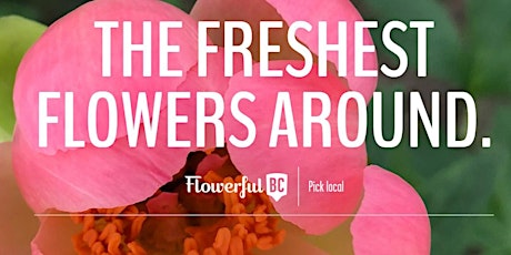 A TOUR OF THE UNITED FLOWER GROWERS WAREHOUSE