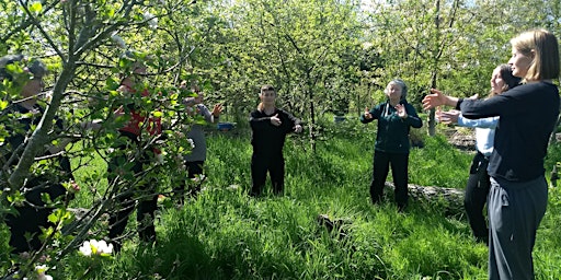 Image principale de Mindful Movement in Nature: Forest Bathing