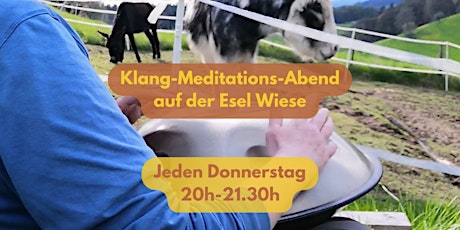 Hauptbild für Klangabend mit Eseln und Meditation am 25. Mai 2023