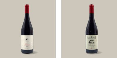 Vini del Biellese. Lessona e l'export di un territorio Vini del Biellese. Lessona e l'export di un territorio