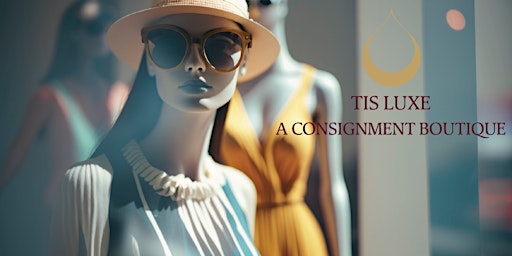 TIS  Luxe Consignment Boutique & Women's Resource Networking Night primary image