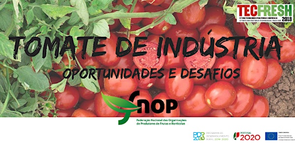 TOMATE DE INDÚSTRIA - Oportunidades e Desafios