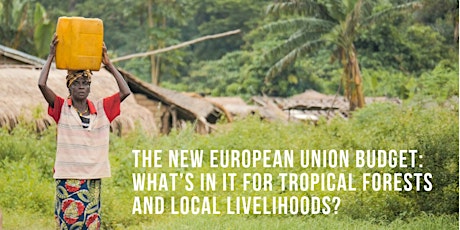 Imagem principal do evento The new EU multi-financial framework: What’s in it for tropical forests and local livelihoods?