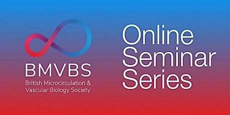 BMVBS Online Seminar Series - Microcirculation Measurements of the Foot
